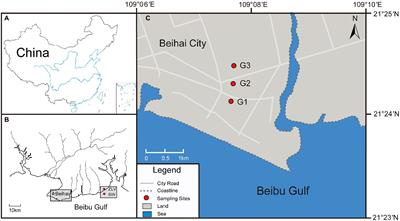 Microbial Diversity in Groundwater and Its Response to Seawater Intrusion in Beihai City, Southern China